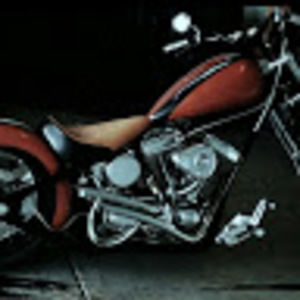 Meet your Posher, Phillip